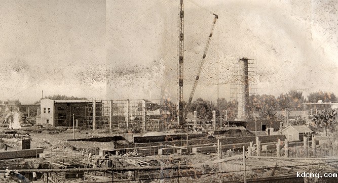 1981