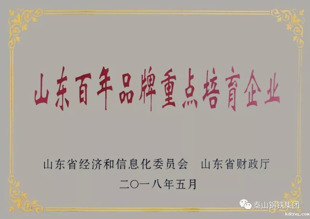 喜报|竞技宝官网登录入口手机版公司荣获“山东百年品牌重点培育企业”殊荣